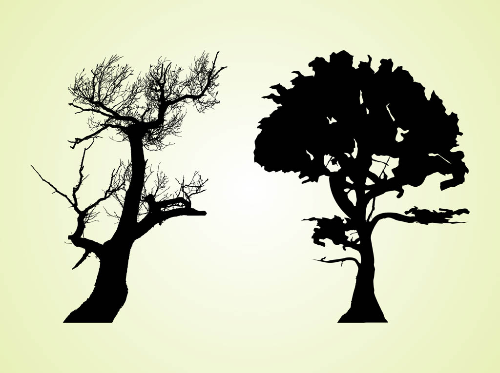 1024x765 Old Trees Vector Art Graphics