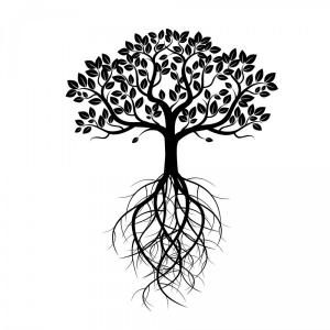 300x300 Png Tree Oak Root Branch Tree Vector Newwaysys