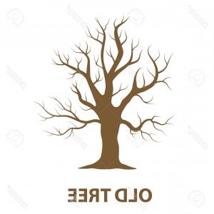 300x300 Stock Illustration Old Tree Vector Illustration Hoodamath