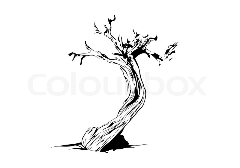 800x560 Vector Illustration Of Old Tree On Stock Vector Colourbox