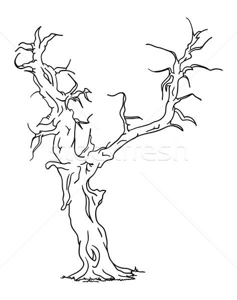 473x600 Old Tree Vector Illustration Pavel Bortel