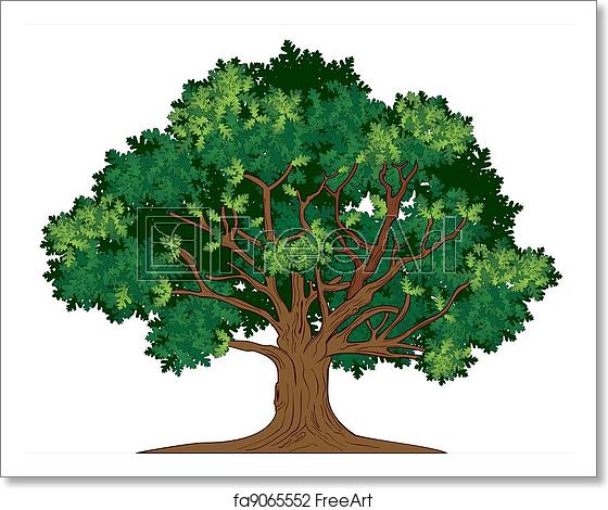 560x470 Free Art Print Of Vector Oak Tree Vector Illustration Of Old