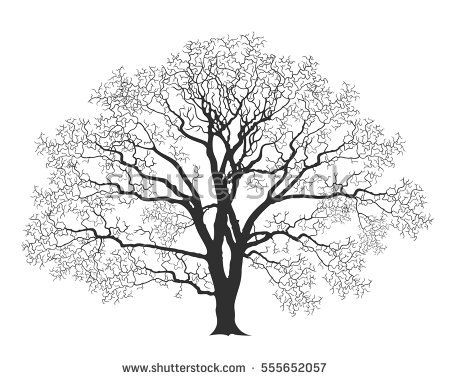 450x380 Oak Tree Silhouette Old Tree Stock Vector