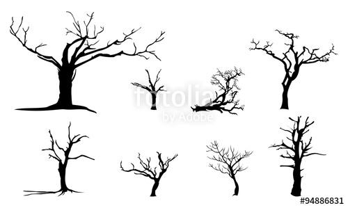 500x299 Old Dead Dried Tree Isolated Silhouette Set Stock Image