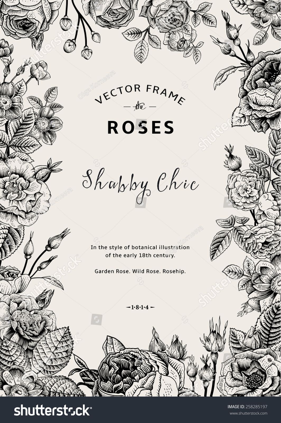 1064x1600 Vintage Vector Frame Garden And Wild Roses In The Style