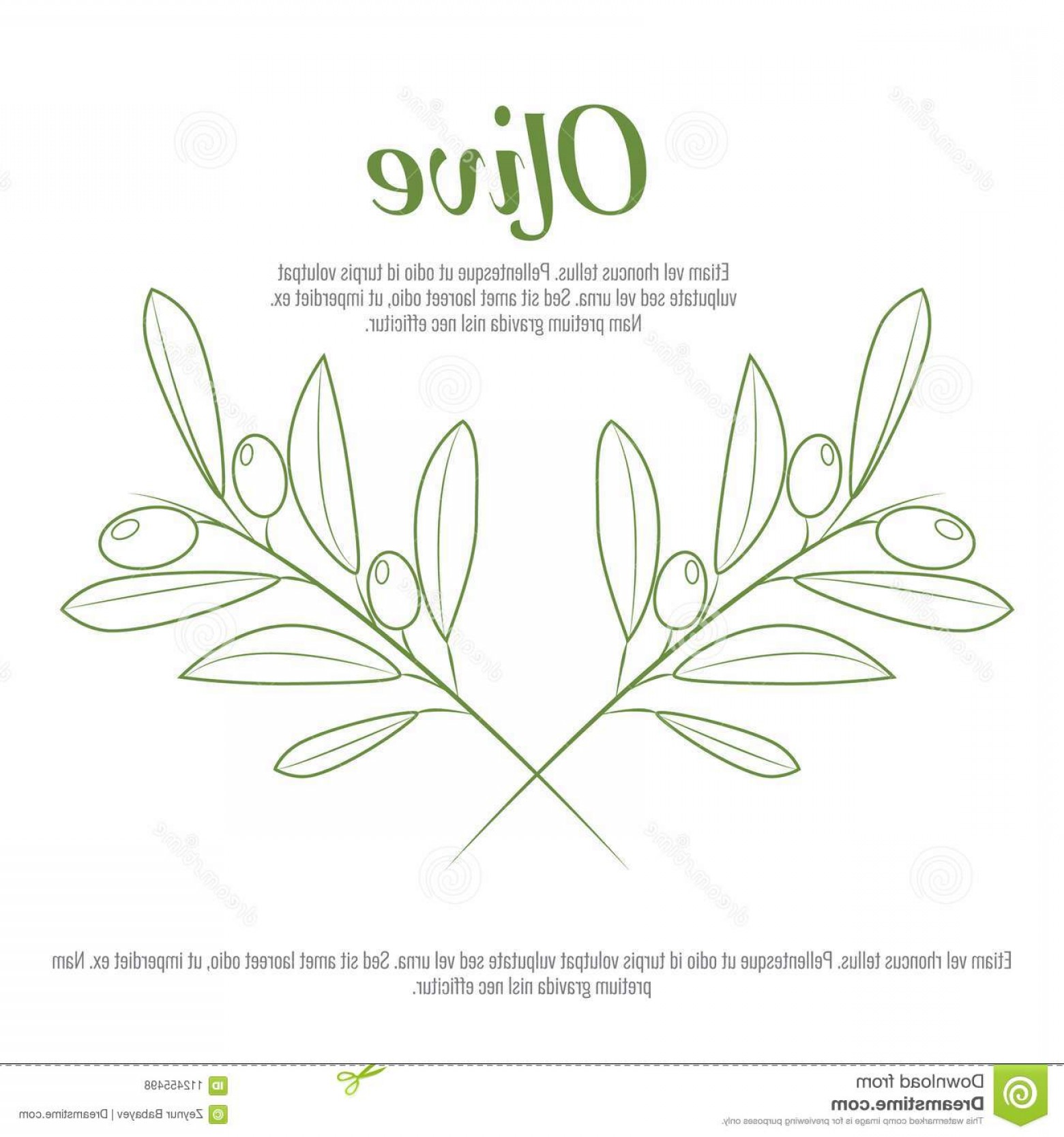 1560x1668 Olive Branch Trendy Line Art Style Contour Drawing Vector