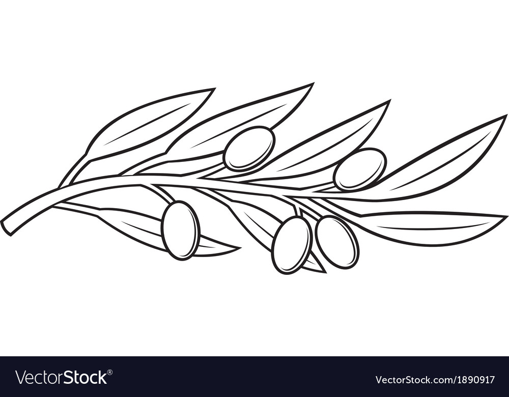 1000x780 Olive Branch Vector Png Images In Collection