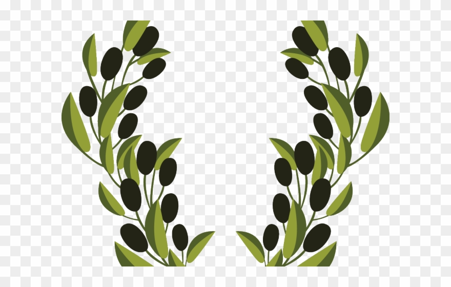 880x560 Olive Clipart Vector