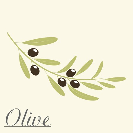 450x450 Olive Branch Vector Illustration Royalty Free Vector Graphics