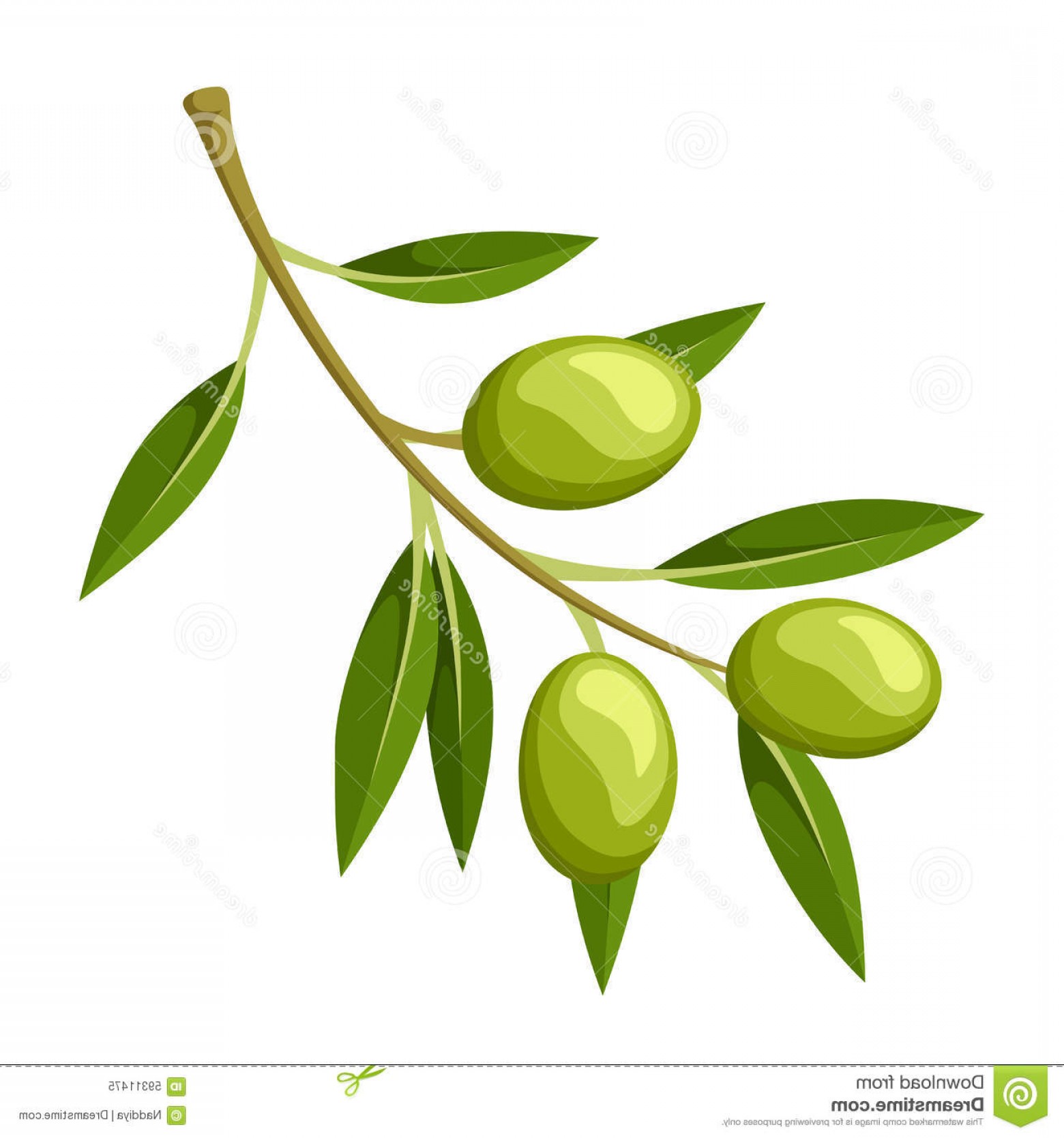 1560x1668 Stock Illustration Olive Branch Vector Illustration White