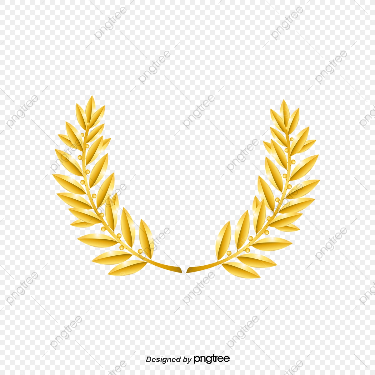 Olive Branch Vector at Vectorified.com | Collection of Olive Branch ...