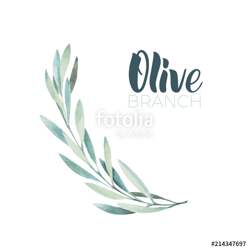 500x500 Watercolor Olive Branch Sketch Of Olive Branch On White