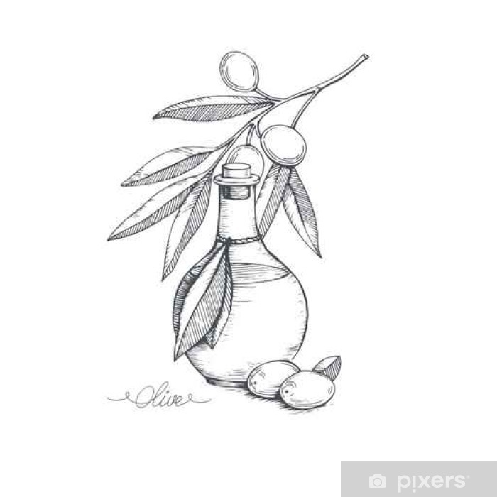 700x700 Hand Drawn Olive Oil And Olive Branch Vector Sketch Illustration
