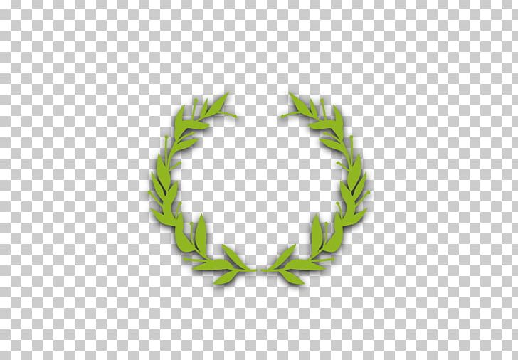 728x506 Olive Branch Computer Png, Clipart, Branch, Branches, Branch