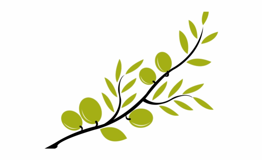 920x561 Branch Clipart Olive Branch