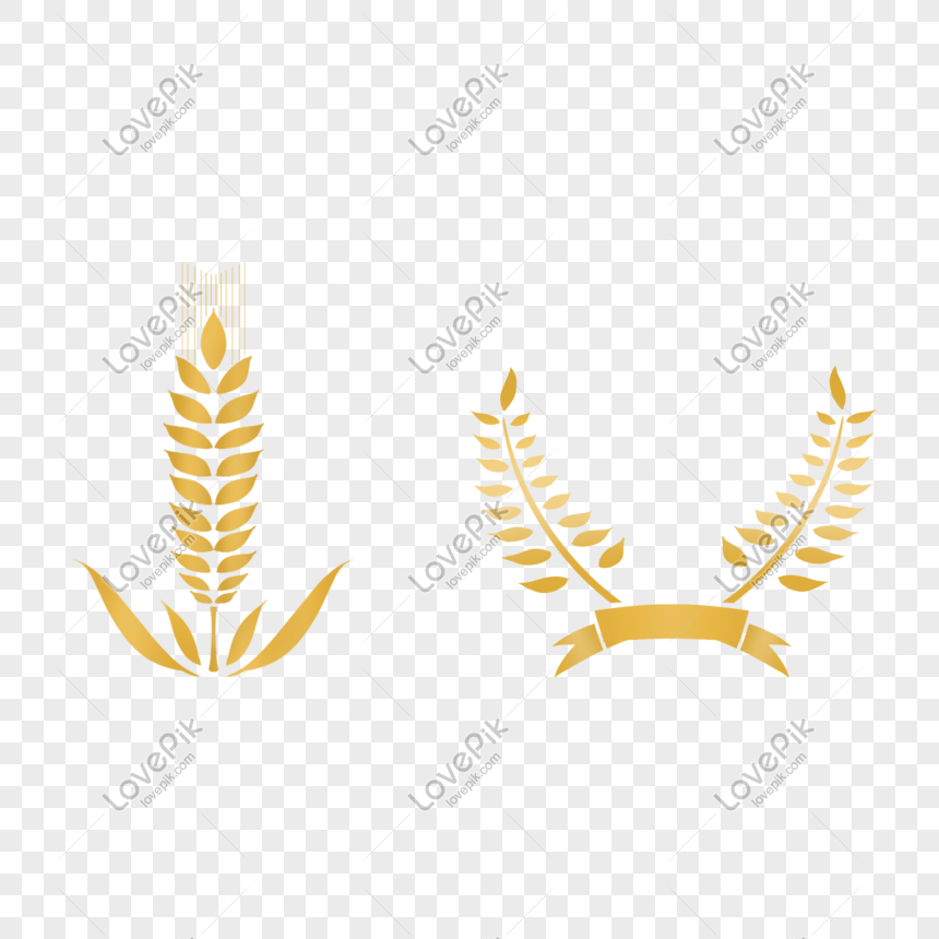 860x860 Olive Branch Vector Material Png Image Picture Free Download