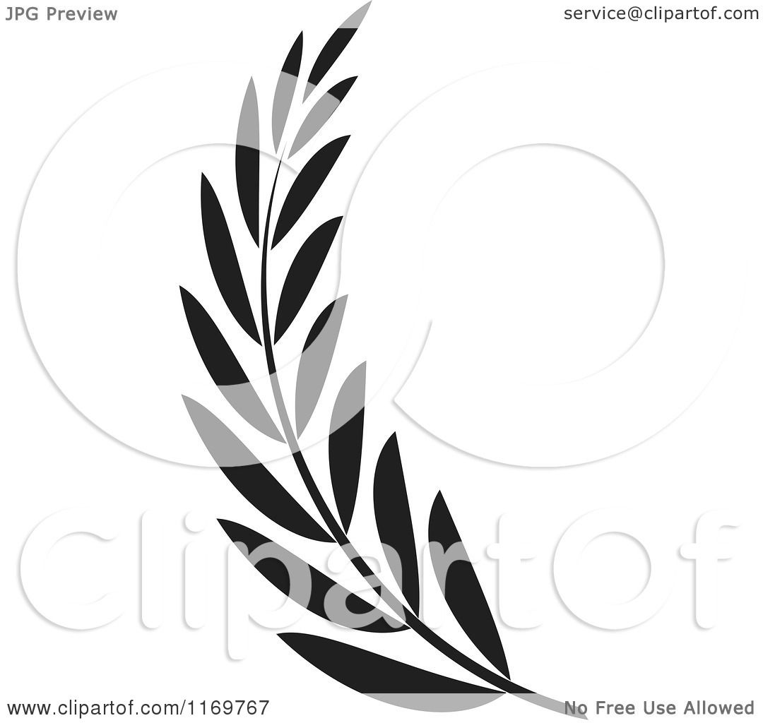 1080x1024 Clipart Of A Black And White Olive Branch