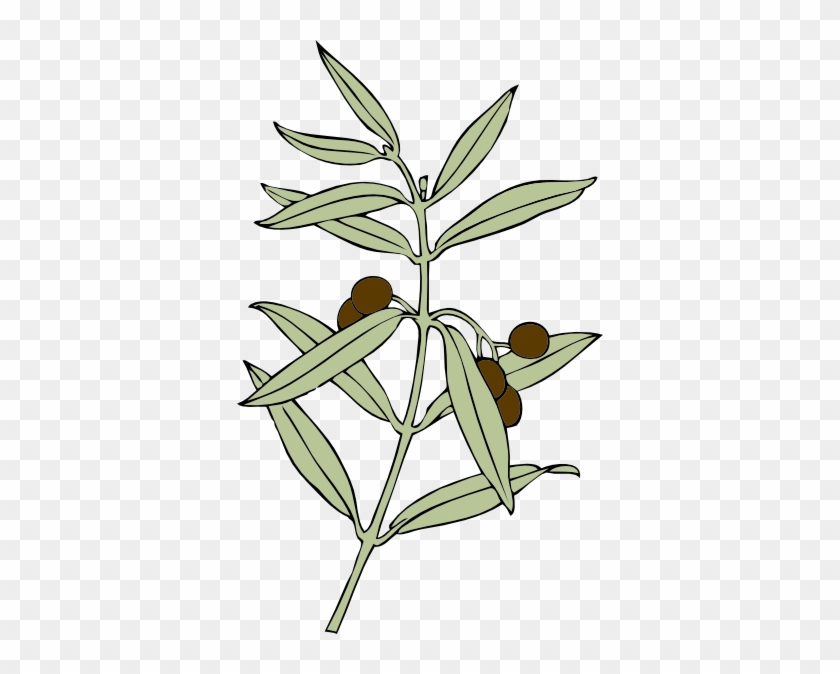 840x674 Free Vector Olive Branch Clip Art
