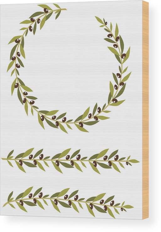 513x740 Olive Branch Wreath
