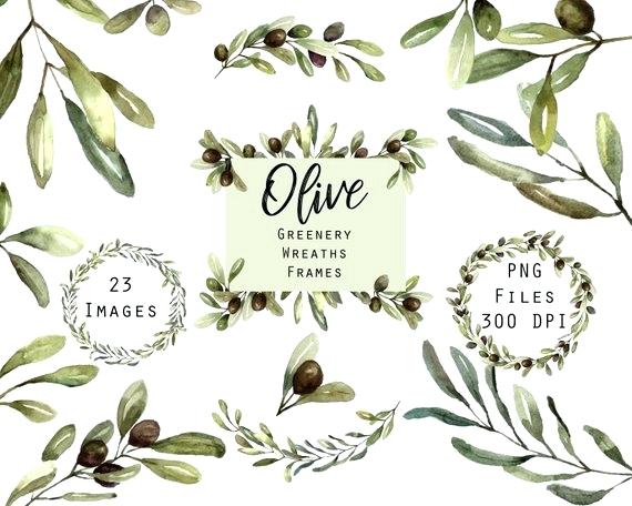 570x456 Olive Branch Wreath Olive Branch Wreath Vector Frame Stock Vector