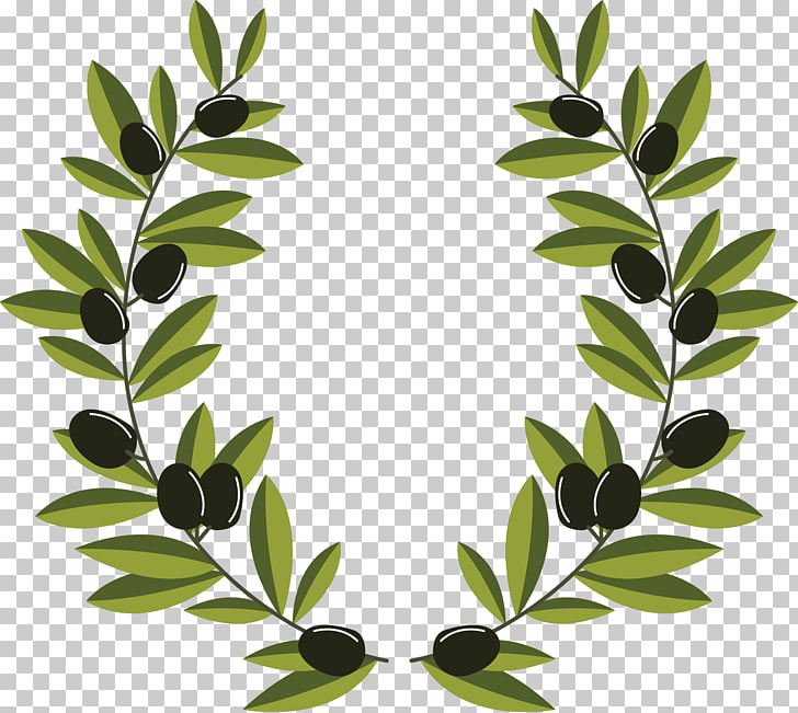 Olive Branch Wreath Vector at Vectorified.com | Collection of Olive