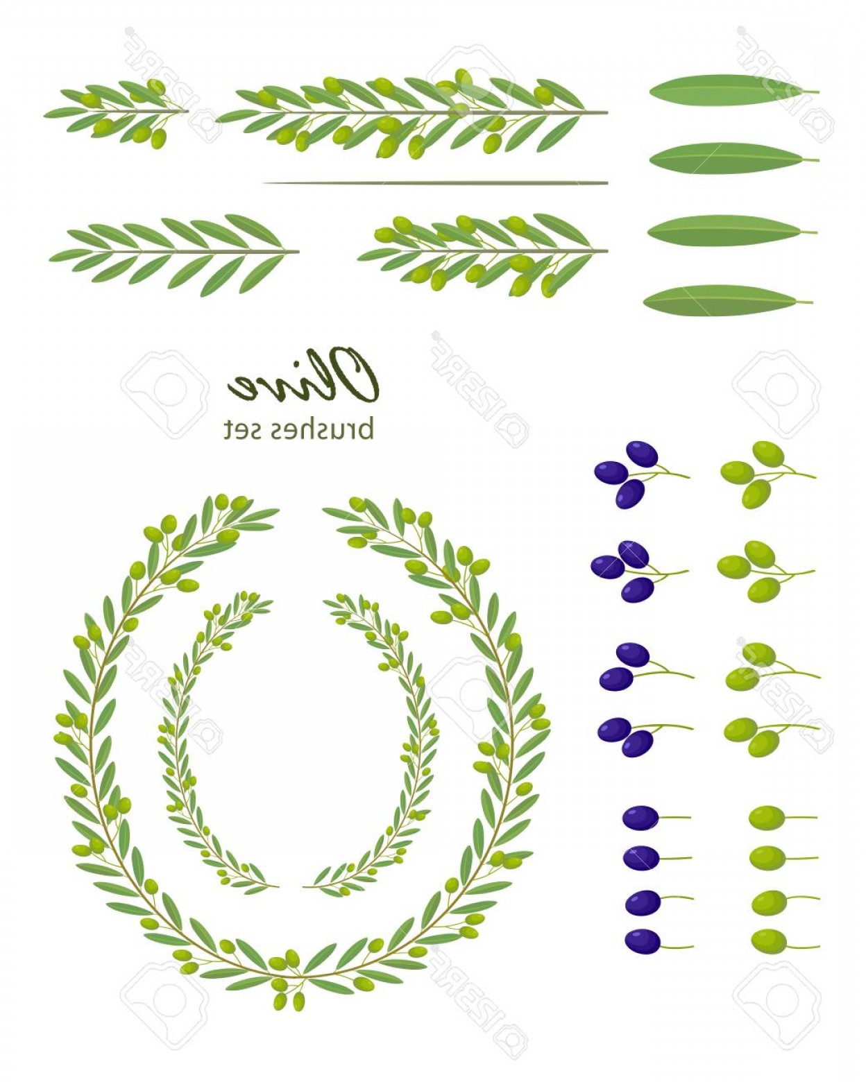 Olive Branch Wreath Vector at Vectorified.com | Collection of Olive