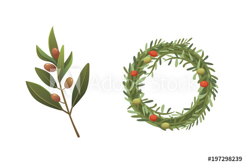 500x335 Set Olives Fruit Olive Branch And Rosemary Wreath Vector