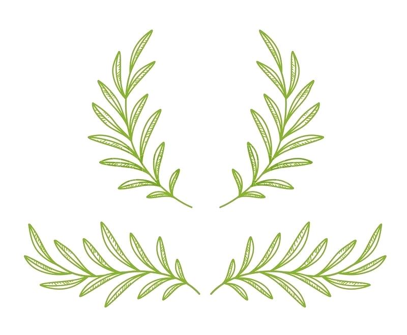 800x658 Click Here For A Larger View Olive Branch Wreath Vector Artificial