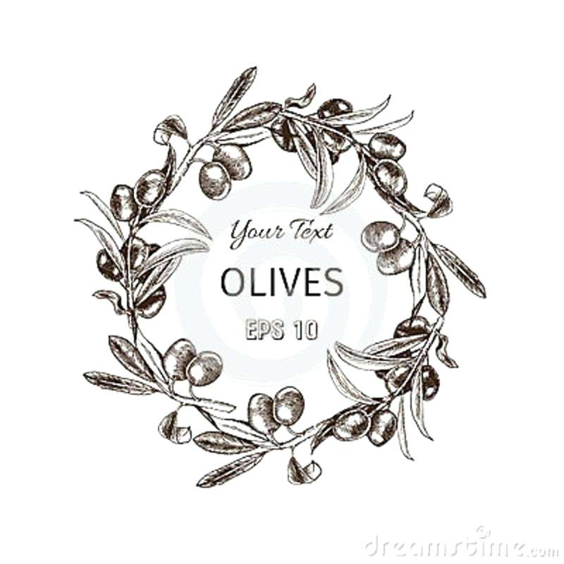 800x800 Olive Branch Wreath Thermoscientific