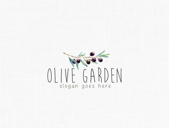 Custom Olive Garden Logo Design Natural Logo Design 570x432 Custom Olive Garden Logo Design Natural Logo Design