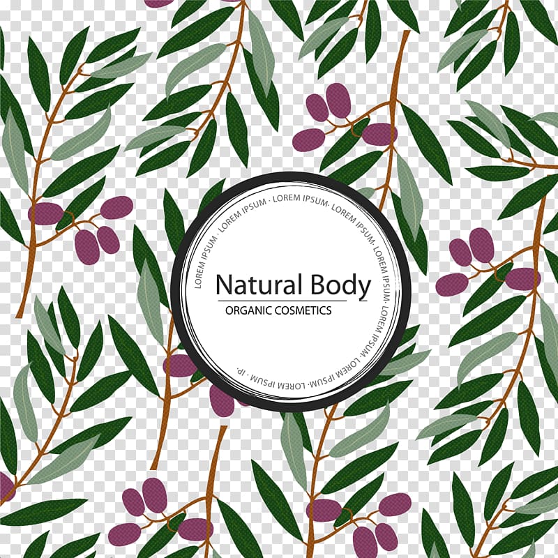 Olive Leaf Vector at Vectorified.com | Collection of Olive Leaf Vector