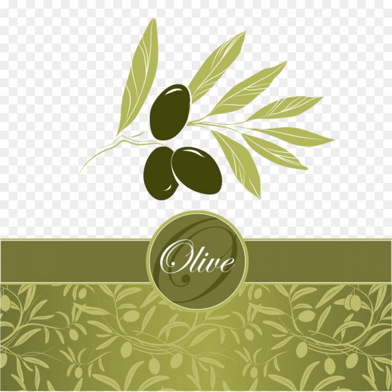 Olive Leaf Vector at Vectorified.com | Collection of Olive Leaf Vector