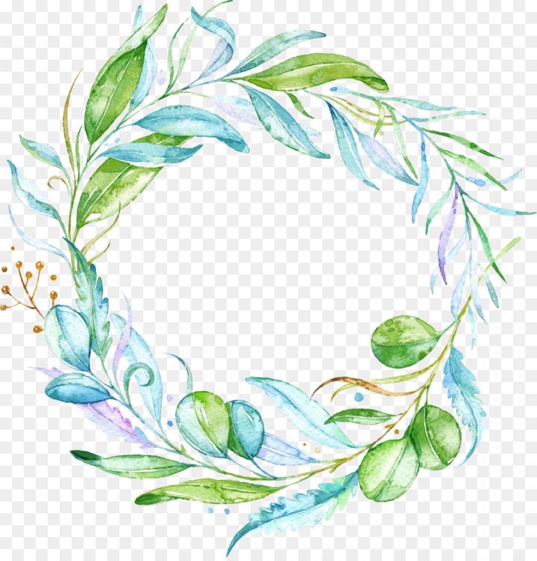 Png Olive Leaf Watercolor Painting Plant Leaves Geekchicpro 1080x1128 Png Olive Leaf Watercolor Painting Plant Leaves Geekchicpro