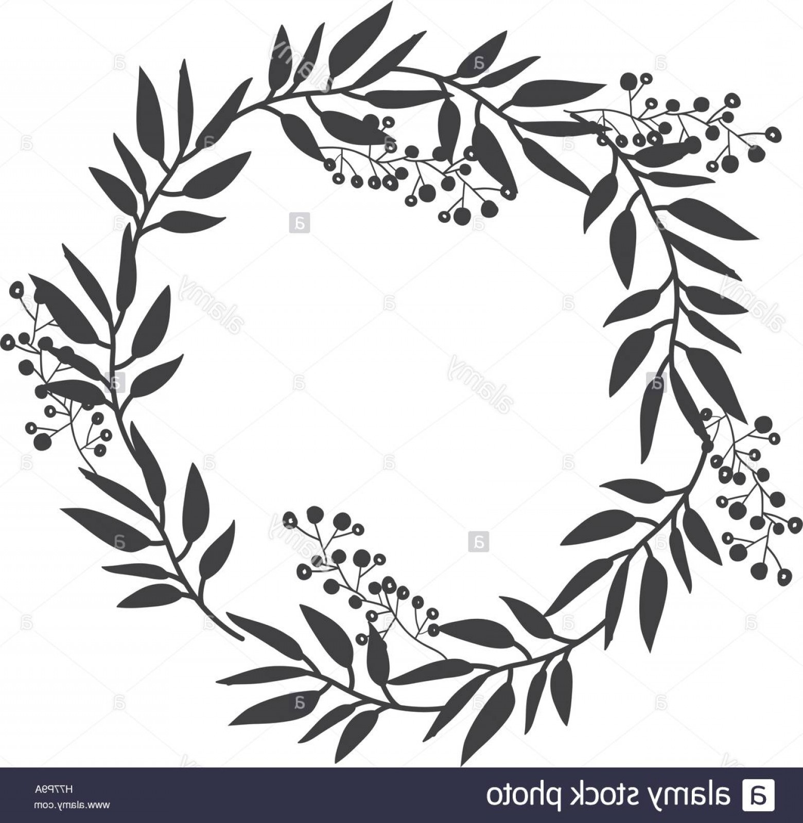 Stock Photo Gray Scale Decorative Crown Of Branch Olive Large 1560x1600 Stock Photo Gray Scale Decorative Crown Of Branch Olive Large