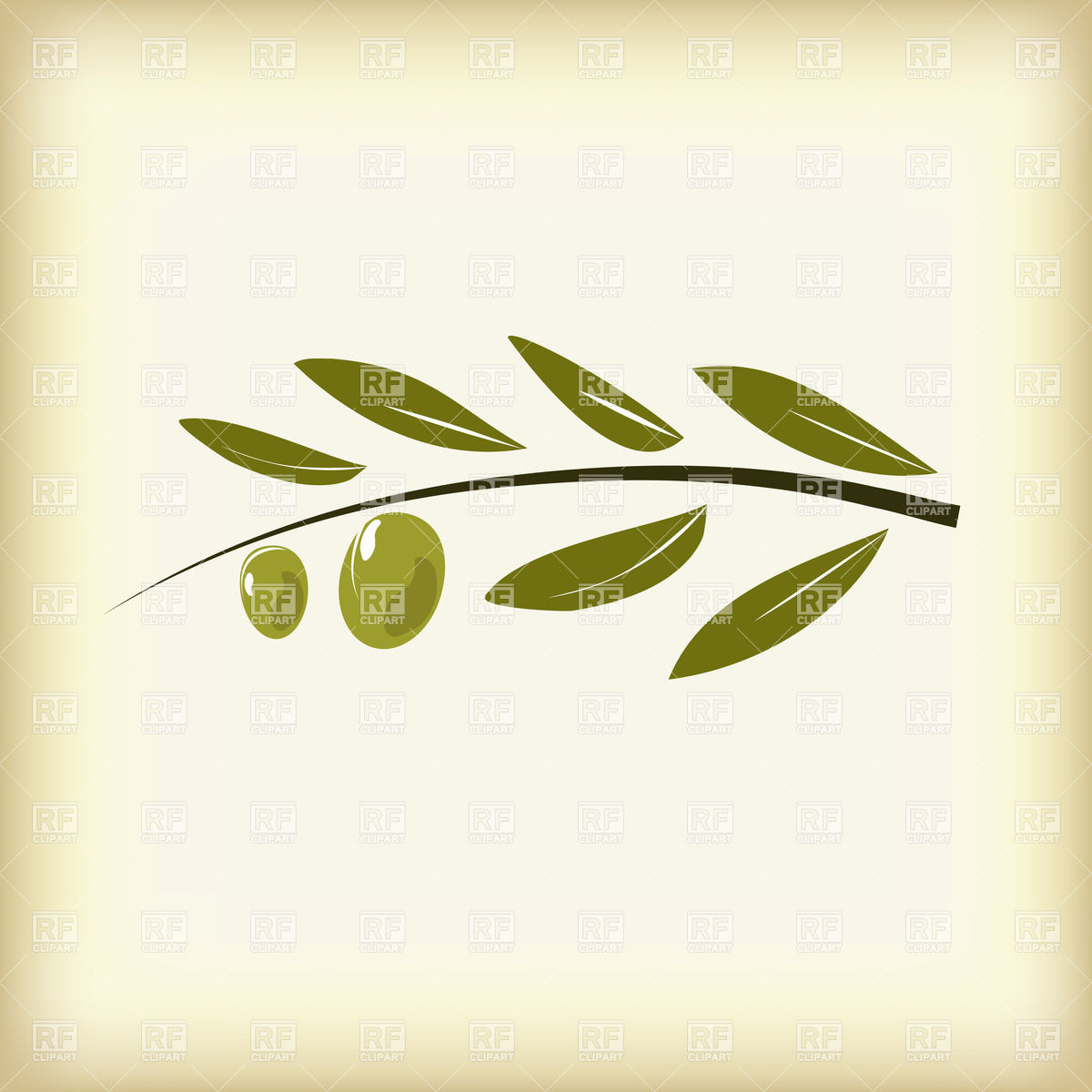 Olive Leaf Vector at Vectorified.com | Collection of Olive Leaf Vector