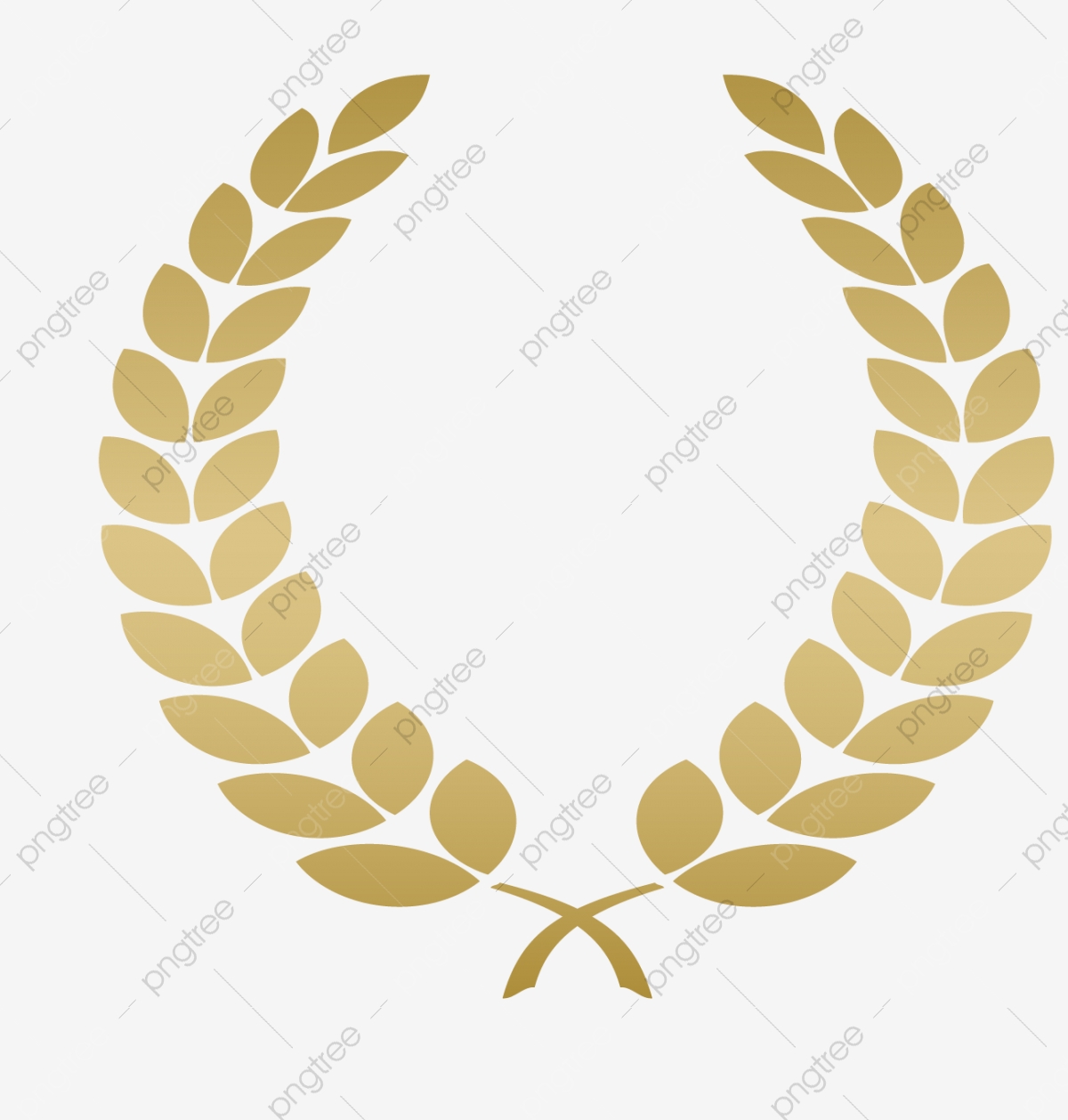 Olive Leaf Vector at Vectorified.com | Collection of Olive Leaf Vector