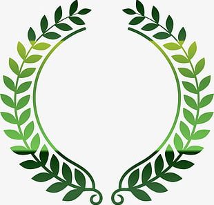 Vector Olive Leaf Border Png Images, Vector Olive Leaf Border 310x297 Vector Olive Leaf Border Png Images, Vector Olive Leaf Border