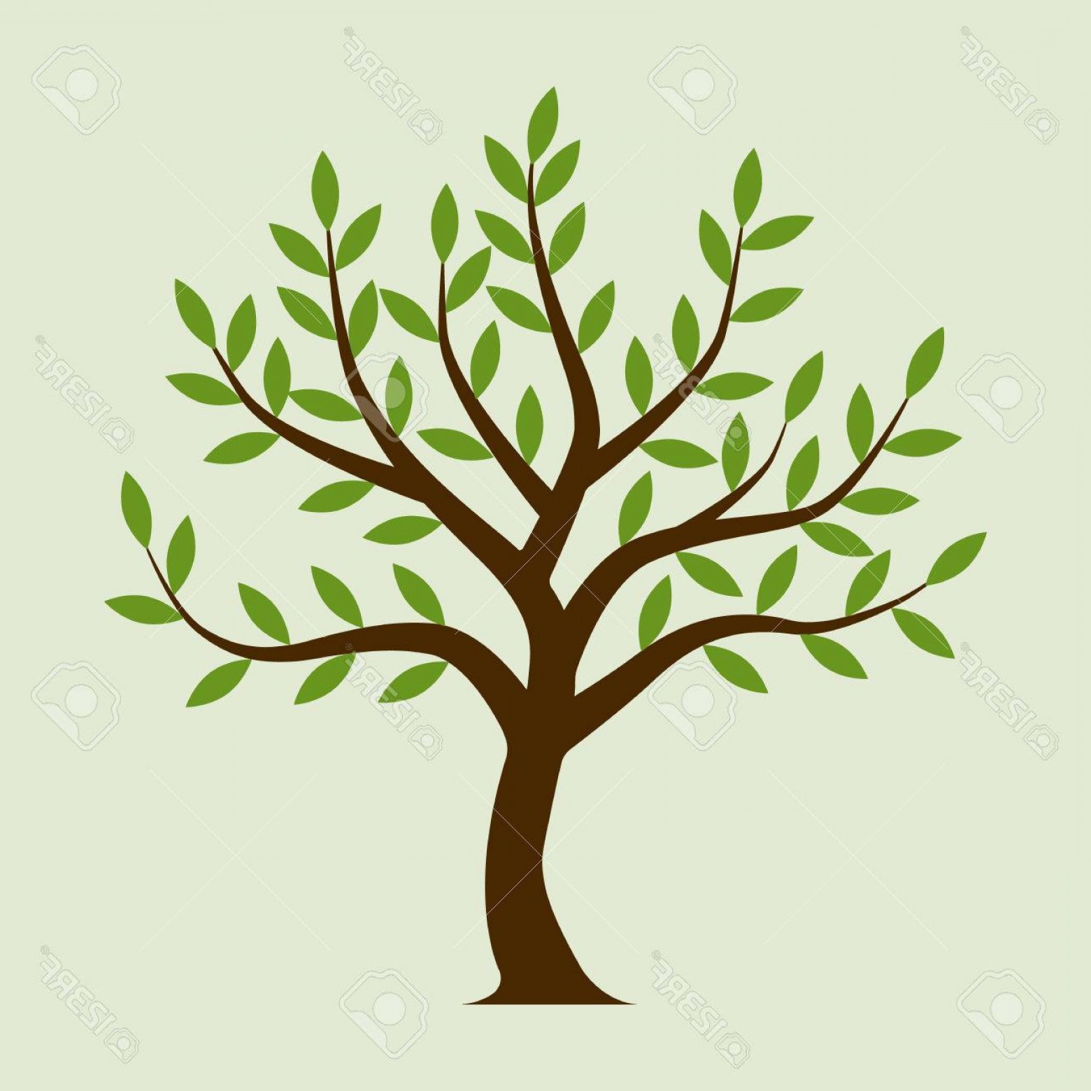 Olive Leaf Vector Logos For Catchsplace 1560x1560 Olive Leaf Vector Logos For Catchsplace