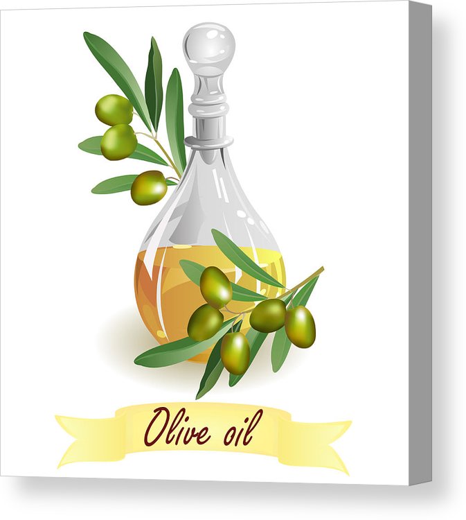 Olive Oil, Vector Illustration Canvas Print Canvas Art 673x750 Olive Oil, Vector Illustration Canvas Print Canvas Art
