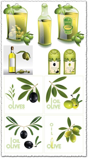Olive Oil Vector Labels 308x550 Olive Oil Vector Labels