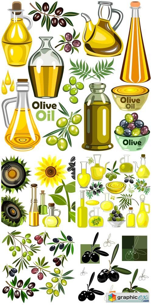 Olives, Olive Oil Vector Free Download Vector Stock Image 500x1000 Olives, Olive Oil Vector Free Download Vector Stock Image