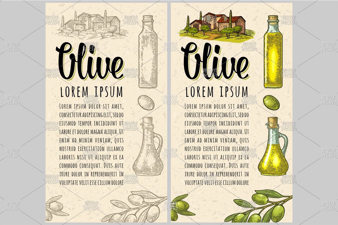 Vertical Template For Menu, Poster, Label Olive Oil Vector 1158x772 Vertical Template For Menu, Poster, Label Olive Oil Vector