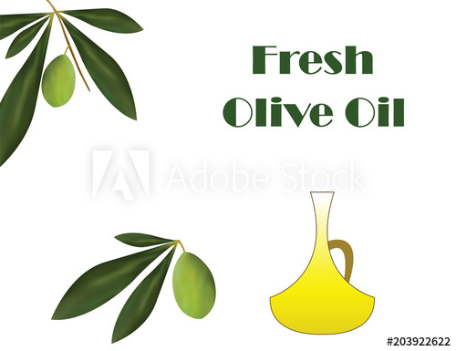 Fresh Olive Oil Vector 500x385 Fresh Olive Oil Vector