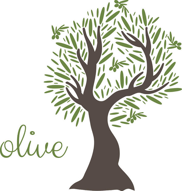 600x629 Illustration Of Flat Olive Tree Vector Art Print