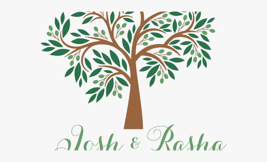 920x560 Olive Tree Clipart