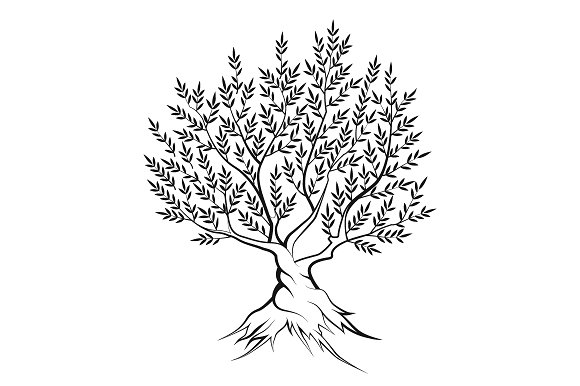 580x386 Olive Tree Silhouette Png