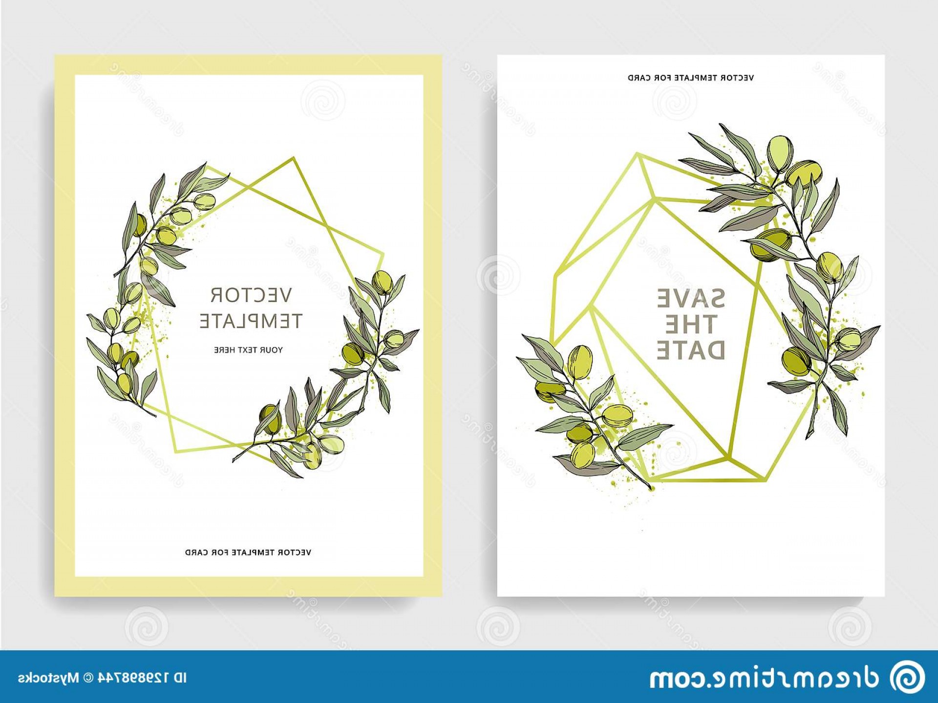 1920x1441 Olive Tree Vector Style Isolated Green Engraved Ink Art Olive Tree