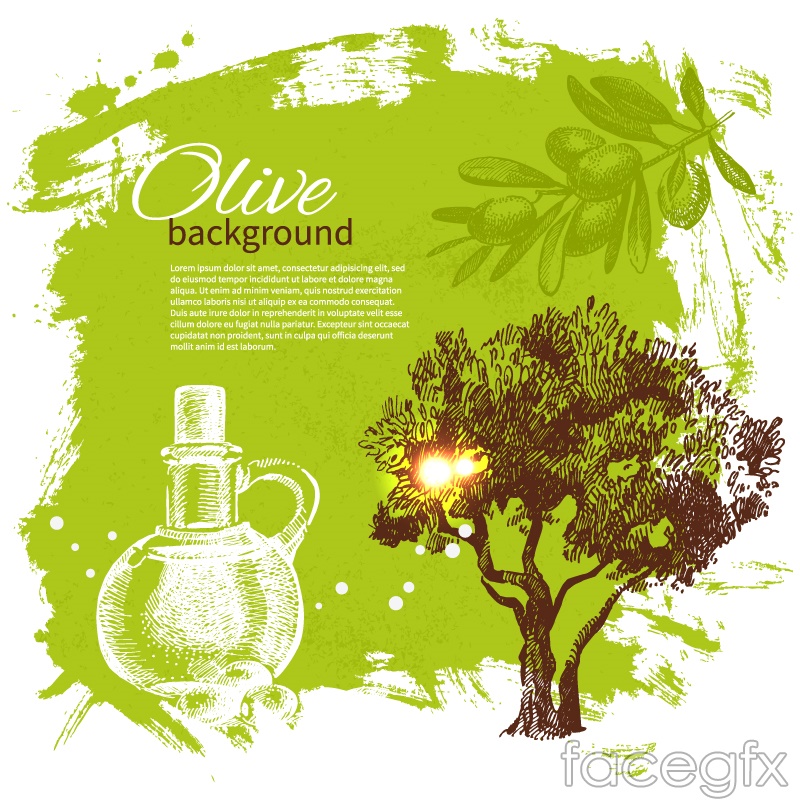 800x800 Beautiful Olive Tree Vector Background Over Millions Vectors