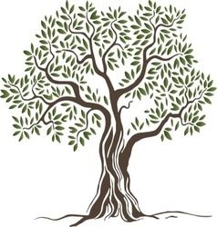 238x250 Olive Tree Vector Tattoo