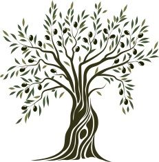 231x235 Olive Tree Vector Art Illustration Teaching And Learning Olive